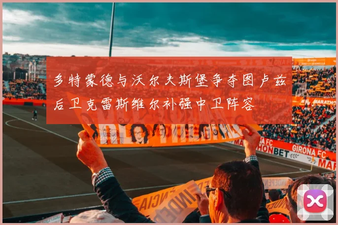 多特蒙德与沃尔夫斯堡争夺图卢兹后卫克雷斯维尔补强中卫阵容
