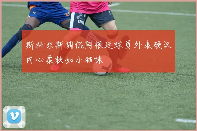 斯科尔斯调侃阿根廷球员外表硬汉内心柔软如小猫咪